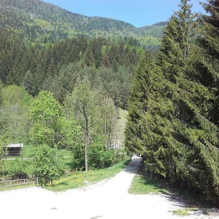 Klass 203 Kranjska Gora Dış mekan fotoğraf