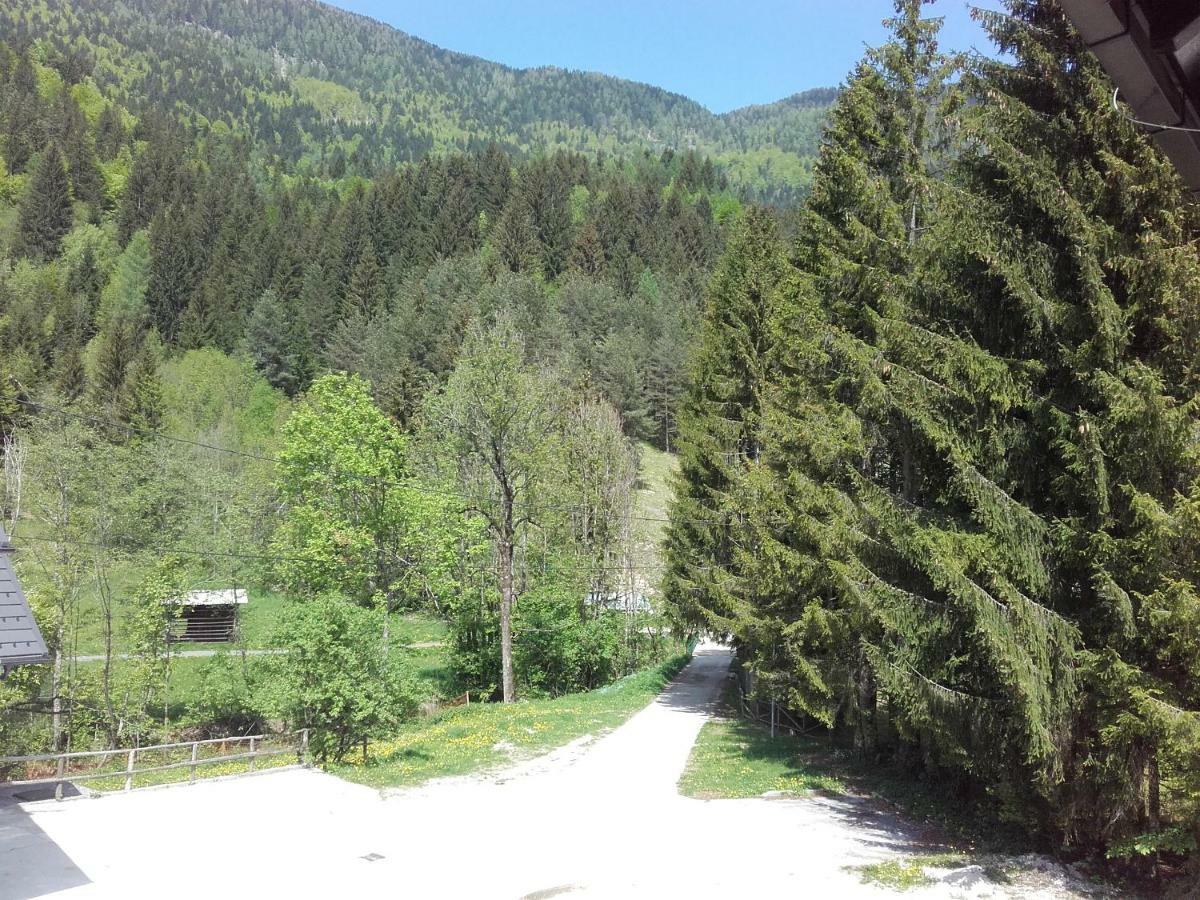 Klass 203 Kranjska Gora Dış mekan fotoğraf